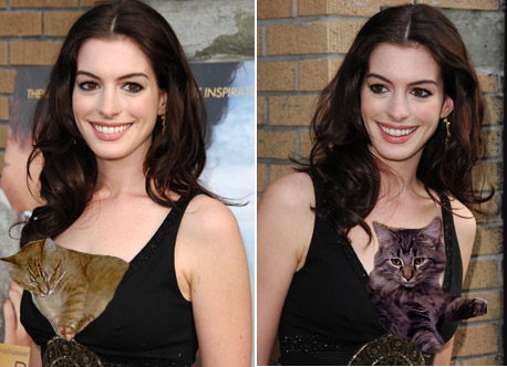Before you jump on Anne Hathaway for illegal animal smuggling just remember